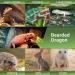 LIKZINWA Adjustable Small Animal Sling Carrier for Bearded Dragons Lizards and Small Reptile (Blue-Green) - Buy Online on GoSupps.com