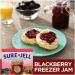 Sure Jell No Sugar Pectin 1.75 oz - Pack of 4 - Buy Online on GoSupps.com