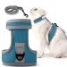 Dotoner Cat Harness and Leash Set Cats Escape Proof Kitten Harness and lead set Adjustable Cat Harness for Large Small Cats Lightweight Soft Walking Travel Petsafe Harness L dark blue