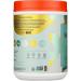 Natreve Fudge Brownie Protein Powder - 14.1 OZ | Delicious & Nutrient-Rich Protein for International Shipping - Buy Online on GoSupps.com
