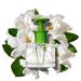 Caswell-Massey Gardenia Eau de Toilette Classic Floral Scent Luxurious & Long-Lasting Fragrance for Women Full Size Perfume for Women 2 Fl Oz Gardenia 2 Fl Oz (Pack of 1) - Buy Online on GoSupps.com
