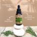 Phintin Organic Rosemary Oil - 100% Natural Hair Growth Stimulator | 30ml Essential Oil | Certified German Quality - Buy Online on GoSupps.com