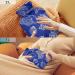 Buy Ocean Shells Hot Water Bottles - 2L Pain Relief for Neck & Shoulder | International Shipping - Buy Online on GoSupps.com