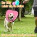 Rollen Ruff Dog Leak Protection - Adjustable Soft Collar Tape - Breathable Pink Elisabethane - Eco-Friendly Pet Neck Band - Buy Online on GoSupps.com
