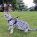 Pangdi Cat Dishes & Leash Set | Tactical Outbreak-Proof Emotional Support Kitten Vest | Gray Large | International Shipping Available - Buy Online on GoSupps.com