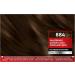 Brillance Intensive Color Cream Hair Color 884 Cocoa Brown - 3 Pack (3 x 160 ml) | International Shipping Available - Buy Online on GoSupps.com