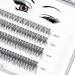 Lankiz Individual Eyelashes 160 PCs - 12D 0.07 C Curl Extensions | DIY Cluster & Fake Lashes for Home Use - Buy Online on GoSupps.com