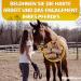 Buy EGGERSMANN 1kg Horse Geckerlis | Natural Banana Carrot Treats | Delicious Rewards for Horses & Ponies | Horse Accessories 1 Pack - Buy Online on GoSupps.com