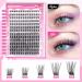 DIY Wispy Cluster Lashes Kit - Individual Lashes for Natural Look - Self Application at Home - C-Cluster Lashes Kit 8-16MM - Buy Online on GoSupps.com