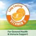 Kaytee Fiesta Guinea Pig Food - Nutrient-Rich Blend for Healthy Pets - Buy Online on GoSupps.com