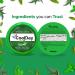 COOLDAY Sugar-Free Ginger Chews - Nausea Relief Lozenges - Gluten-Free, Vegan - 150 Drops, 3 Pack with Menthol & Eucalyptus - Buy Online on GoSupps.com