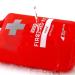Breakwater Supply Waterproof First Aid Kit Dry Bag - Emergency Survival Supplies for Boating, Camping, Kayaking - Includes Heavy-Duty Carabiner, Floating Design, Reflective Details - Lightweight Marine First Aid Kit (Red) - Buy Online on GoSupps.com