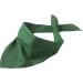 Schnoschi Personalized Green Dog Scarf - Custom Embroidered Pet Accessory - Buy Online on GoSupps.com