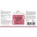 Kalmegh Tincture 100ml - Premium Vegan Andrographis Paniculata Supplement | 1:4 Extract | Made in Austria - Buy Online on GoSupps.com
