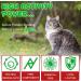 Cat Natural Urinary Tract Infection Treatment with Cranberry Urinary Cat Food Wet - Kidney + Bladder Support Supplement for Cats Powerful Yet Gentle Pet Care with Liquid Cranberry - Buy Online on GoSupps.com