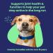 Vetoquinol Flexadin Advanced (with boswellia) Dog Joint Supplement One Unit a Day for Dogs 30 Chews - Buy Online on GoSupps.com
