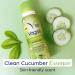 Vagisil Healthy Detox Freshening Spray - Gynecologist Tested, Paraben Free, Clean Cucumber Essence - 2.6 oz (Pack of 4) - Buy Online on GoSupps.com