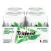 Trident White Spearmint Sugar Free Gum 4 Bottles of 60 Pieces (240 Total Pieces) Spearmint 60 Count (Pack of 4)