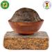 8 oz African Black Soap Paste - 100% Raw Pure Natural from Ghana | Acne Treatment, Eczema & Psoriasis Relief | Great for Dry Skin, Scars, Dark Spots, Pimples, Blackheads | Face & Body Wash - Buy Online on GoSupps.com
