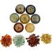Chakra Crystals Set - Healing Stones for Beginners - Engraved Chakra Symbol - Witchcraft Supplies and Meditation Accessories - Buy Online on GoSupps.com