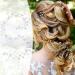 48 Pack Wedding Hair Comb with Faux Pearl and Crystal Accents - Bridal Hair Accessories for Bride, Bridesmaids, Prom - Silver Hair Clips and Pins - Buy Online on GoSupps.com