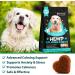 Calming Dog Treats for Anxiety - Calming Hemp Treats for Dog - Dog Anxiety Relief with Hemp Oil Natural Stress Relief During Firework Storm Separation - Chicken Flavor Chewing Treats - 60 Count - Buy Online on GoSupps.com