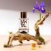 Solinotes Santal Eau de parfum 50ml Sandalwood - Buy Online on GoSupps.com