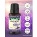 Buy Nature's Truth Aromatherapy Lavender Essential Oil - 0.51 Fl Oz | Pure & Natural International Shipping - Buy Online on GoSupps.com