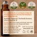 Gya Labs Active Energy Essential Oil Roll-On 10ml - Sweet Refreshing Scent | 1 Pack - Buy Online on GoSupps.com