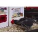 1 Gallon Capacity Small Cage Waterer for Chicks, Quails, Pigeons & Gamebirds - Buy Online on GoSupps.com