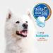 Nylabone Advanced Oral Care Natural Toothpaste Peanut Butter 2.5 oz. (1 Count) Peanut Butter 1 count (Pack of 1) - Buy Online on GoSupps.com