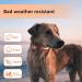 Buy Luminous LED Dog Collar - Adjustable Waterproof 7 Color Changing Light for Night Safety - Fits Small Medium & Large Dogs (38-50cm) - 2022 Orange - Buy Online on GoSupps.com