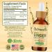 Nutranelle Herbal Nausea Nano Tincture with Ginfort - Upset Stomach Relief Supplement - 2 fl oz - Buy Online on GoSupps.com