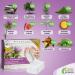 Kenrico Qu-1 Herbal Detox Foot Patch | 100% Vegan Detoxification Plaster for Body Detox - Buy Online on GoSupps.com