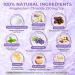Magnesium Lotion for Sleep Natural Magnesium Cream for Leg Cramps Soothing Relief & Muscle Relaxation Magnesium Butter with Coconut Oil Shea Butter Vitamin E Safe for Kids Lavender 4 oz Lavender 4 Fl Oz (Pack of 1) - Buy Online on GoSupps.com