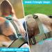 Heele Adjustable Dog Muzzle with Head Belt | Chew-Proof & Comfortable | Fits Medium & Large Dogs | Green (1 Pack) - Buy Online on GoSupps.com