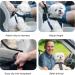 Maoxintek Dog Security Belt for Car | Adjustable 2PCs Elastic Seat Belt for Dogs & Cats | Safe Travel for All Dog Breeds - Buy Online on GoSupps.com