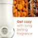 Glade PlugIns Pumpkin Spice Air Freshener Refills - 1.34 Fl Oz, 2 Count - Buy Online on GoSupps.com