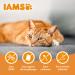 IAMS Dry Cat Food with Sensitive Turkey - for Cats with Sensitive Stomach from 1 year - 3 kg - Buy Online on GoSupps.com