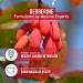 EBYSU Berberine HCl (90 Capsules) Glucose Metabolism Support Berberine Supplement Berberine Supplements and Blood Sugar Control Supplement Blood Pressure Supplement Vegan Preservative-Free 1 - Buy Online on GoSupps.com