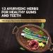 Ayurveda Gum Care Toothpaste 150G | Reduces Gum Bleeding & Fights Bad Breath | 13 Ayurvedic Herbs for Healthy Gums - International Shipping Available - Buy Online on GoSupps.com