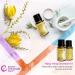 Rocky Mountain Ylang Ylang Essential Oil - 15ml Aromatherapy Oil for Diffuser & Topical Use - Quality Scented Oils International Shipping - Buy Online on GoSupps.com