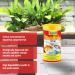 Tetra Goldfish Fish Food Sticks Complete Fish Food for Medium to Large Goldfish 93 g Mariscos 93 g (Pack of 1) - Buy Online on GoSupps.com