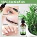 Rosemary Oil for Hair Growth & Skin Care - 60 ml | Strengthens, Nourishes Scalp, Improves Circulation - Unisex | Essential Oils for Hair Loss - Non Greasy, Light Weight - Buy Online on GoSupps.com
