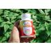 Eclectic Institute Raw Freeze-Dried Nettle Quercetin Capsules | 90 CT | Sinus, Nasal & Immune Support - Buy Online on GoSupps.com