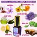 Best Anti-Aging Face Serum for Fine Lines & Dark Spots - Smooths Wrinkles Nourishes Skin - 20ml for All Skin Types - Buy Online on GoSupps.com
