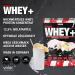 Buy Honest Whey Protein Powder (Buttermilk Lemon Drop) 1kg - Instant Soluble Protein with EAA & BCAA for Optimal Muscle Building - International Shipping Available - Buy Online on GoSupps.com