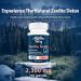 69 000 MG Zeolite Detox & Activated Charcoal - Full Body Liver Cleanse Natural Toxin Removal Milk Thistle & Bentonite Clay - 90 Capsules - Buy Online on GoSupps.com