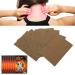 Therapeutic Heat Pavement for Back Pain Relief | 80 Plaster Chinese Medicine for Neck and Shoulder Care - Buy Online on GoSupps.com