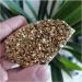 100g Natural Electroplating Gold Crystal Cluster Titanium Geode Cluster DIY Bare Stone Materials Jewelry Making 1pc Decoration 70-100g - Buy Online on GoSupps.com